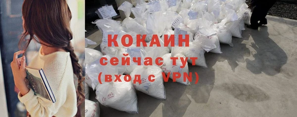 трава Белокуриха