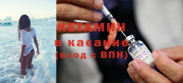 трава Белокуриха