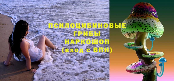 молекула духа Белоозёрский