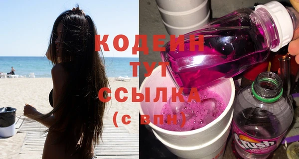 трава Белокуриха