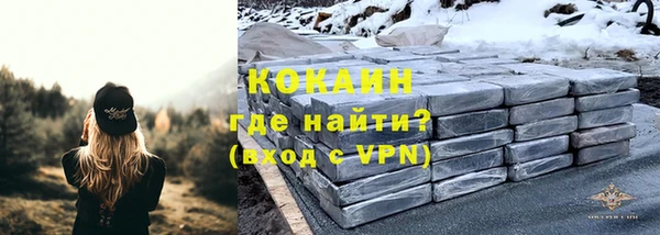 молекула духа Белоозёрский