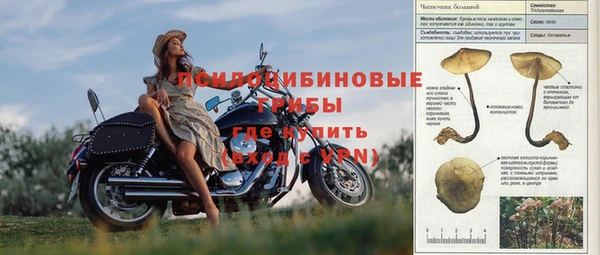мдпв Балабаново