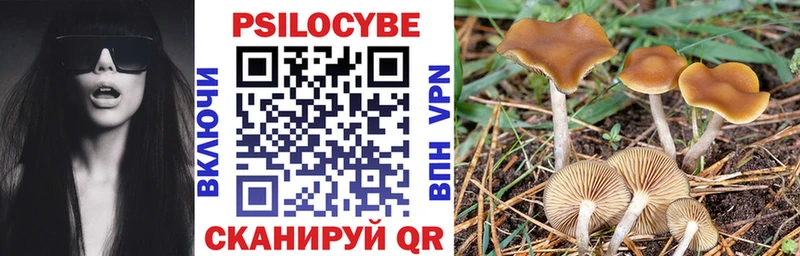 Псилоцибиновые грибы GOLDEN TEACHER  кракен маркетплейс  Славск 